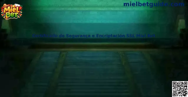 Certificado de Segurança e Encriptación SSL Miel Bet