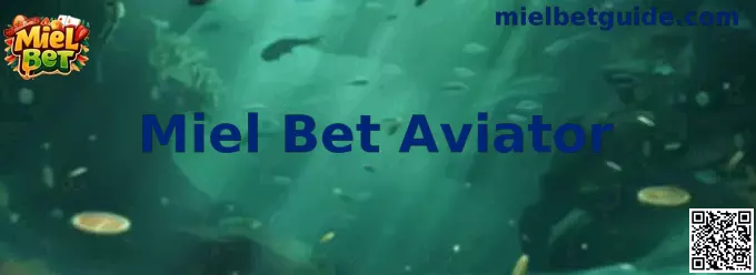 Interfaz ilustrativa de Miel Bet Aviator