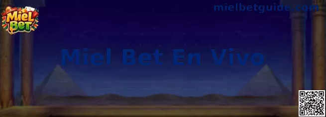 Miel Bet En Vivo