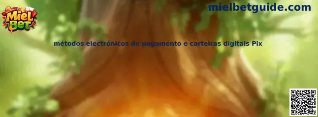Métodos electrónicos de pagamento e carteiras digitais Pix